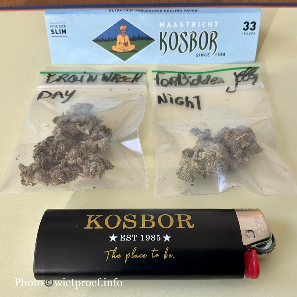 Kosbor day and night